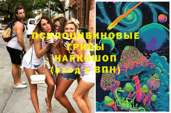 СК Нея