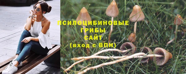 шишки Наволоки