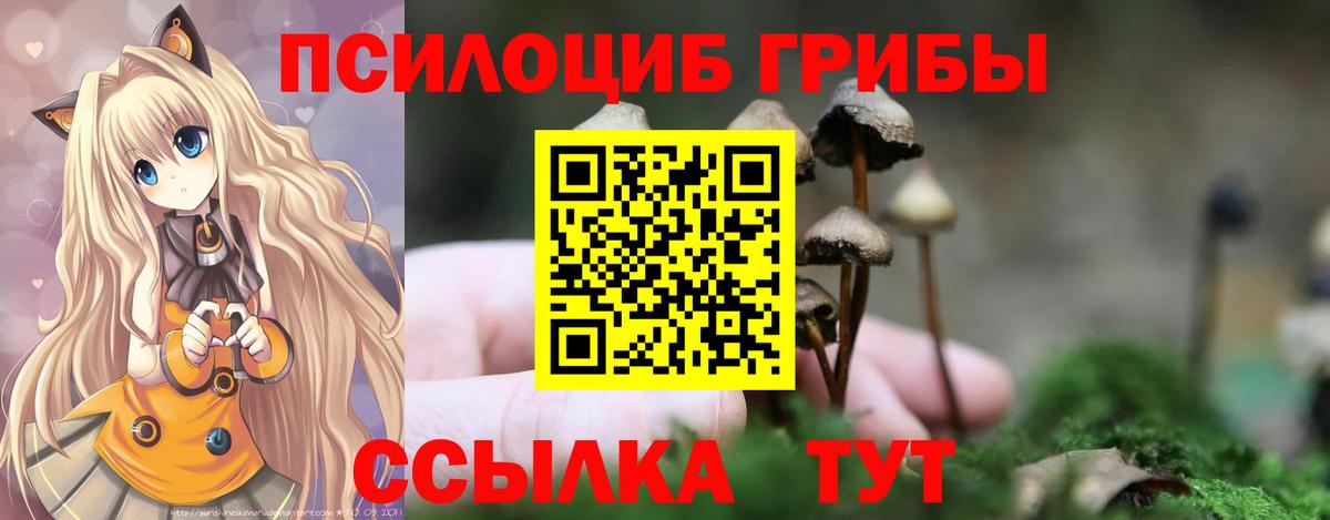 Лосино-Петровский  Галлюциногенные грибы Cubensis  Вход с VPN 